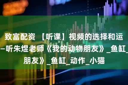 致富配资 【听课】视频的选择和运用（三）——听朱煜老师《我的动物朋友》_鱼缸_动作_小猫
