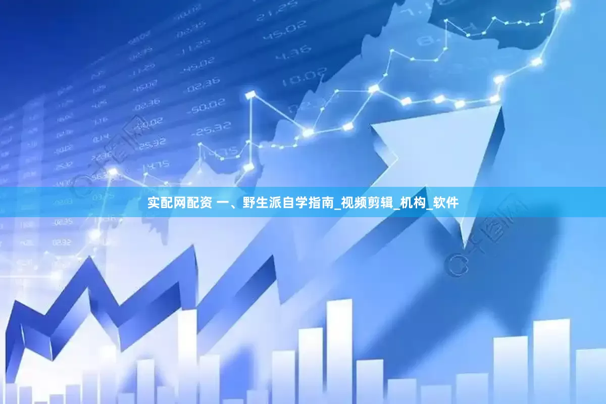 实配网配资 一、野生派自学指南_视频剪辑_机构_软件