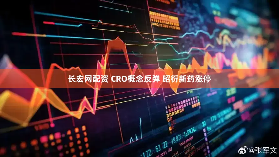 长宏网配资 CRO概念反弹 昭衍新药涨停